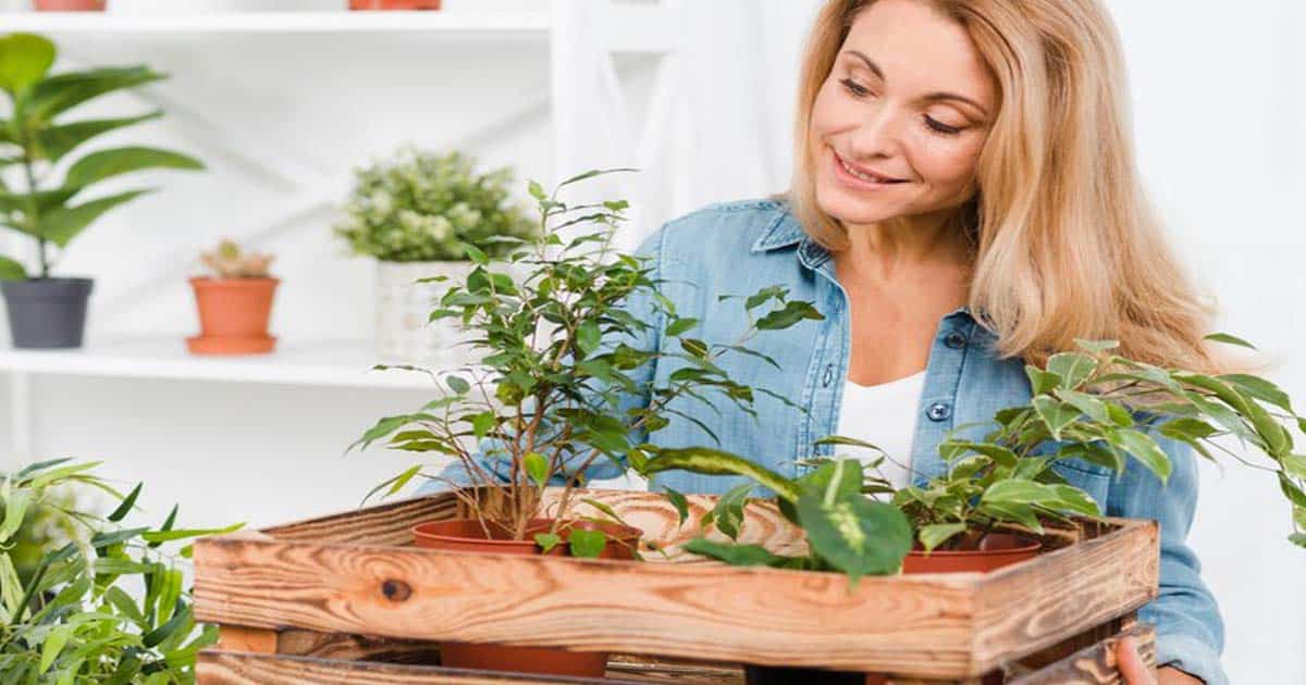 A Step-by-step Guide To Growing Vegetables And Herbs At Home