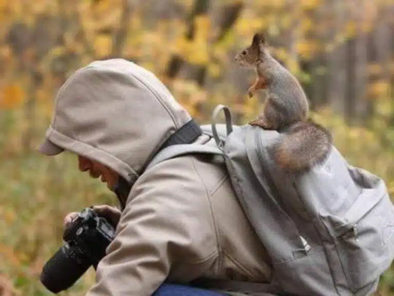 Courageous Squirrel!
