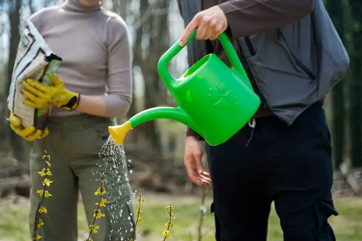 Use The Three-second Rule When Watering