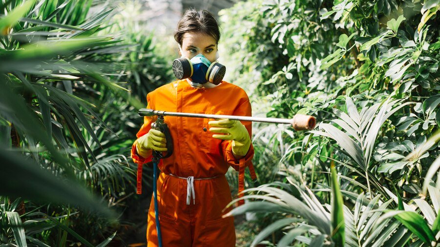 Top Natural Pest Control Methods For A Healthy Garden