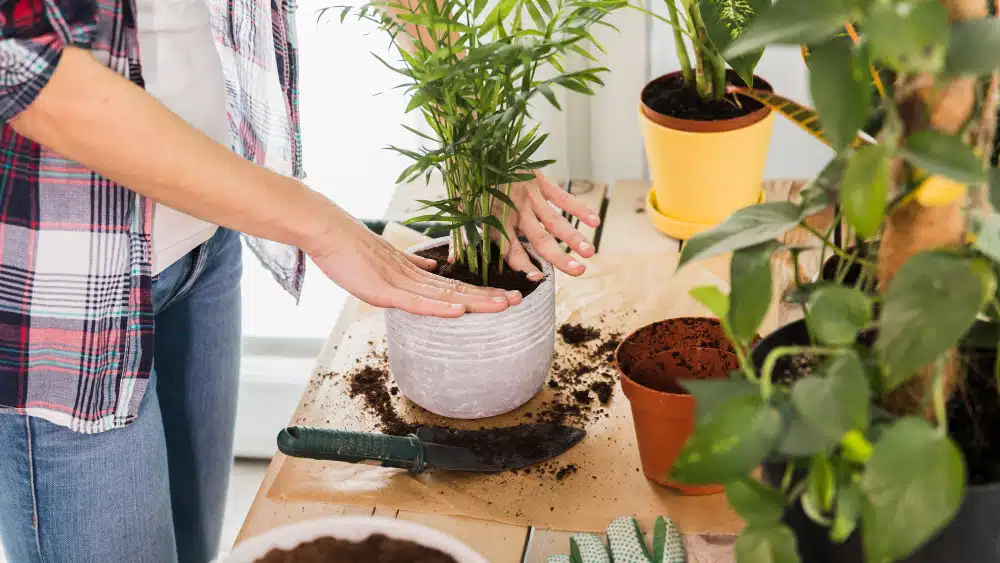  Keep Things Neat With Pots