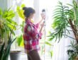 The Best Air Quality Solutions To Keep Your Home Fresh And Clean